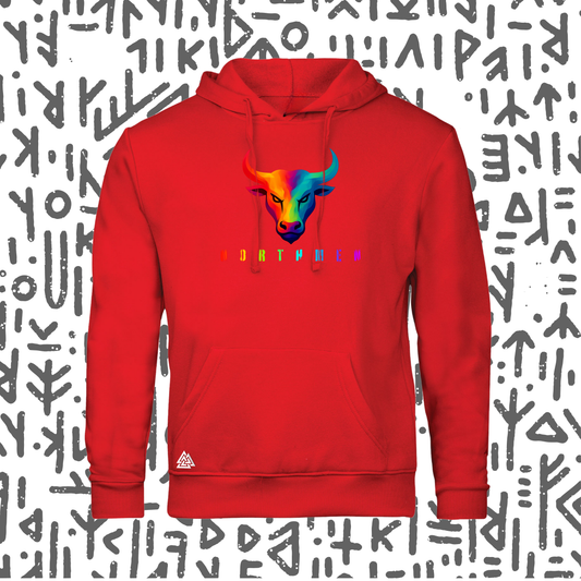 Northmen Hoodie For Men and Ladies