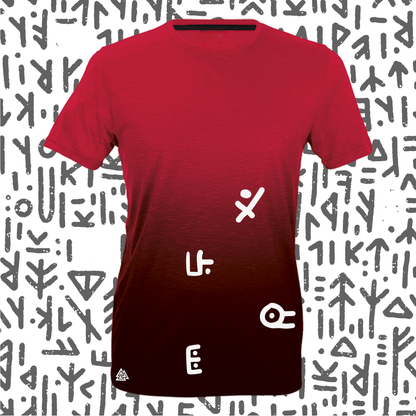 Northmen Two-tone T-Shirts for Men